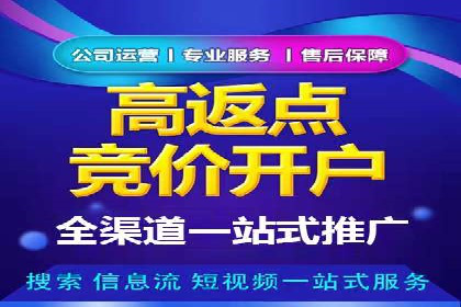 SEM关键词优化案例实战技巧